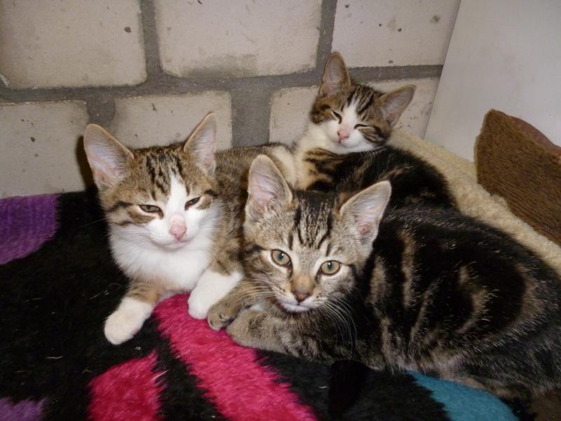 So langsam sind wir echt müde! (2012)