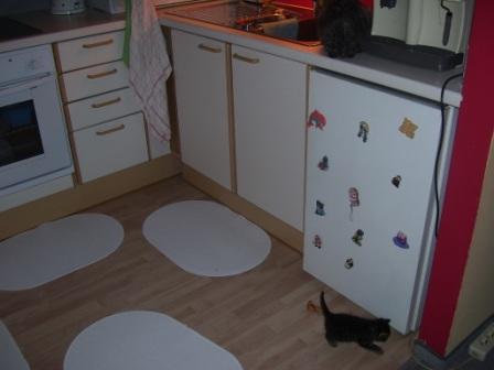 So, Magnet vom Kühlschrank runtergetan, Auftrag erledigt, ich geh wieder und such was neues zum Anstellen *grins*.