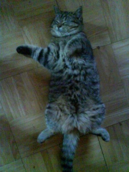 So schläft unsere Emma :-)))