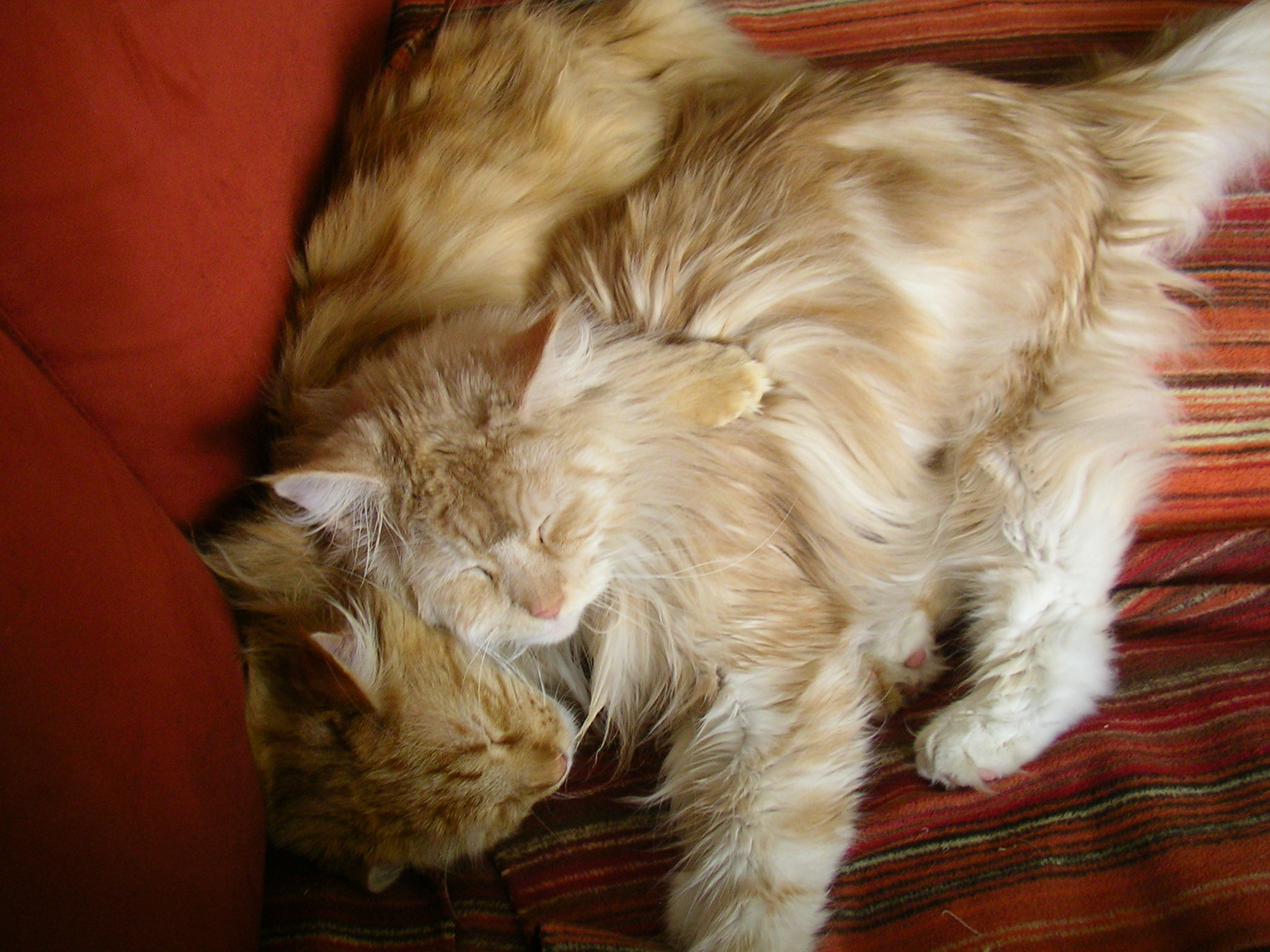 Solch ein Bild sieht man nur selten...