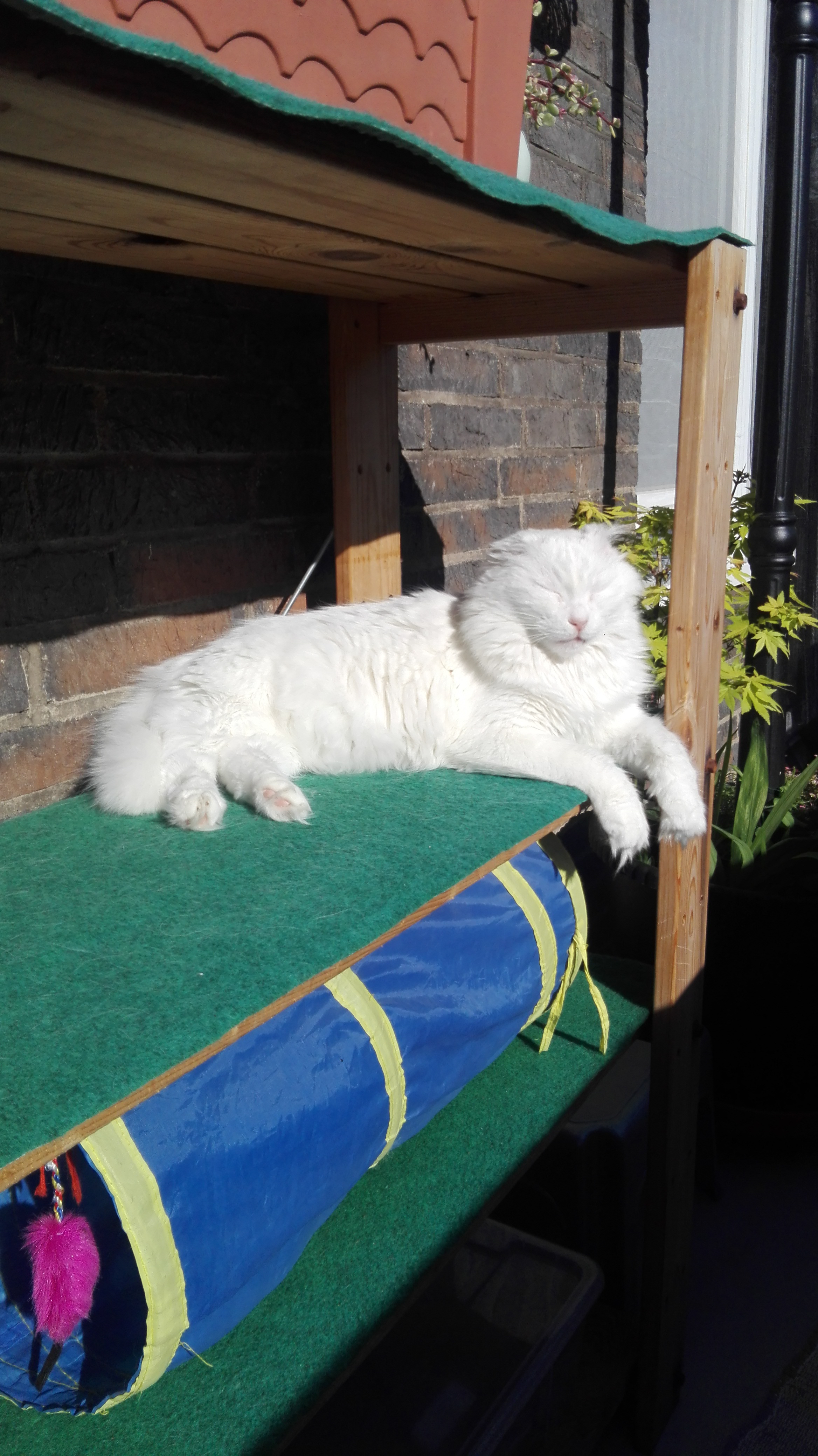 Sonne, gib mir Sonne