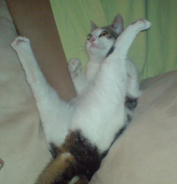 Spielen mit ganzem Körpereinsatz