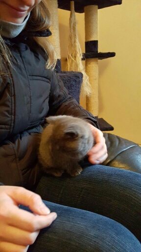 Still halten ist schwer bei neuen Gerüchen ;)