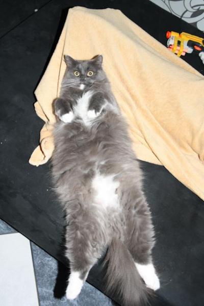 Sunny total entspannt