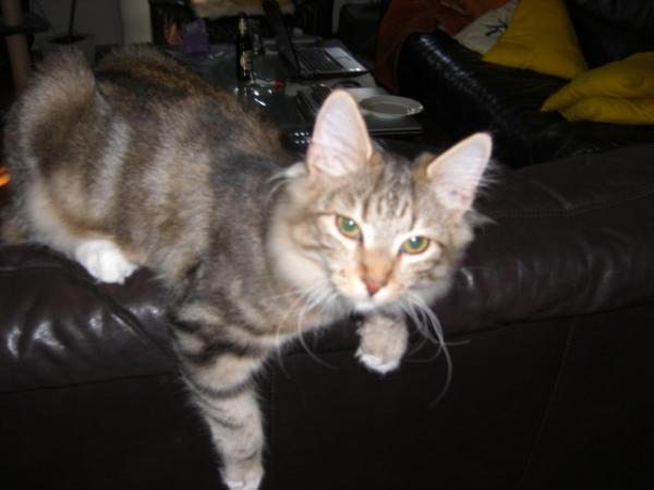 sunny und twister 035