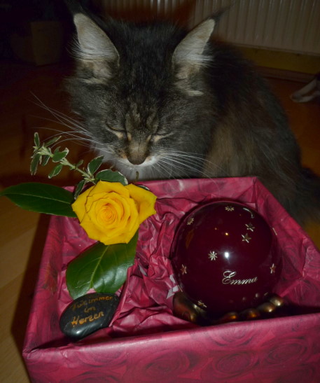 Suse und der Abschied an Emma's Urne