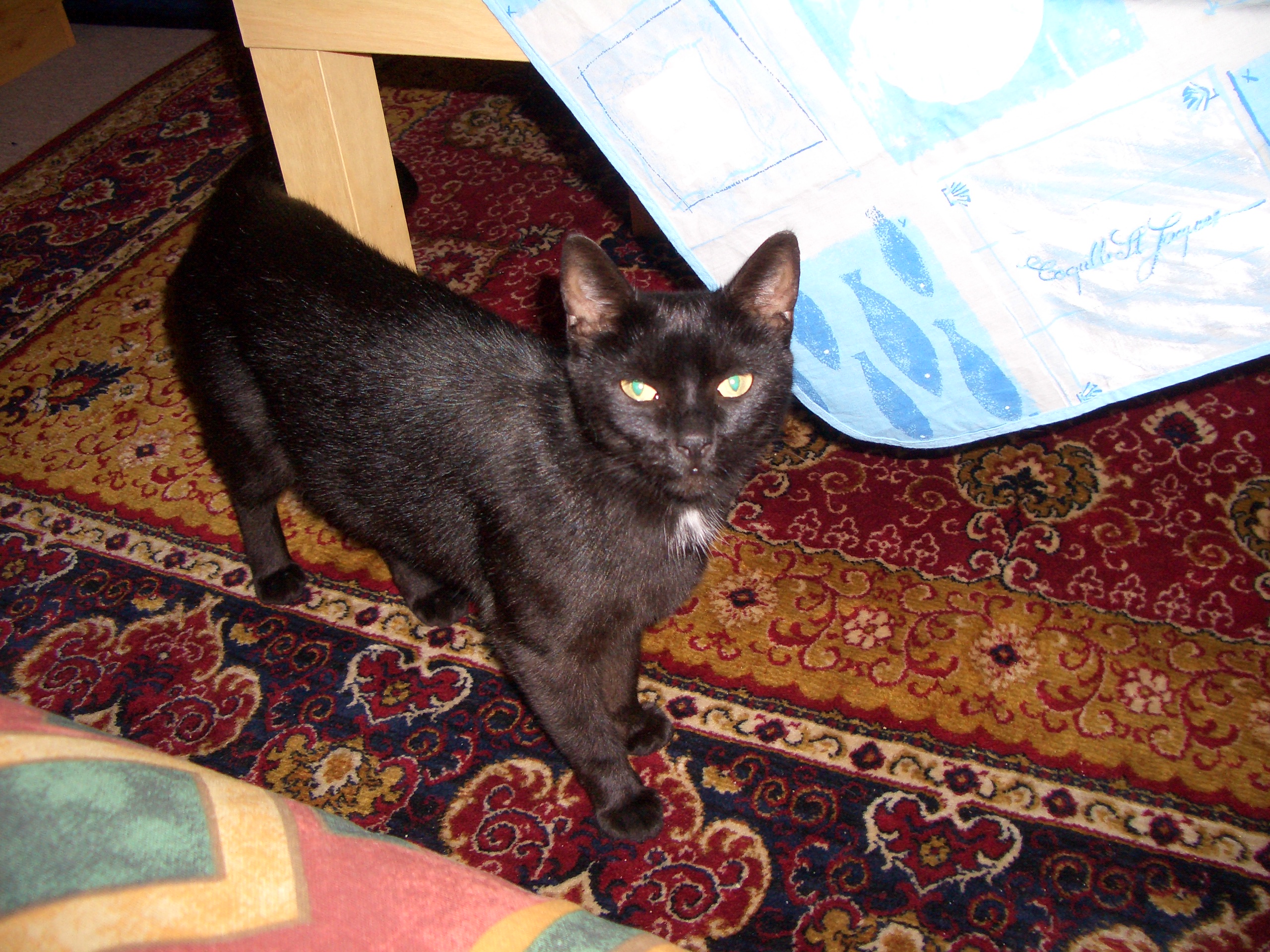 Tag 1 (Bild für die Fundmeldung)