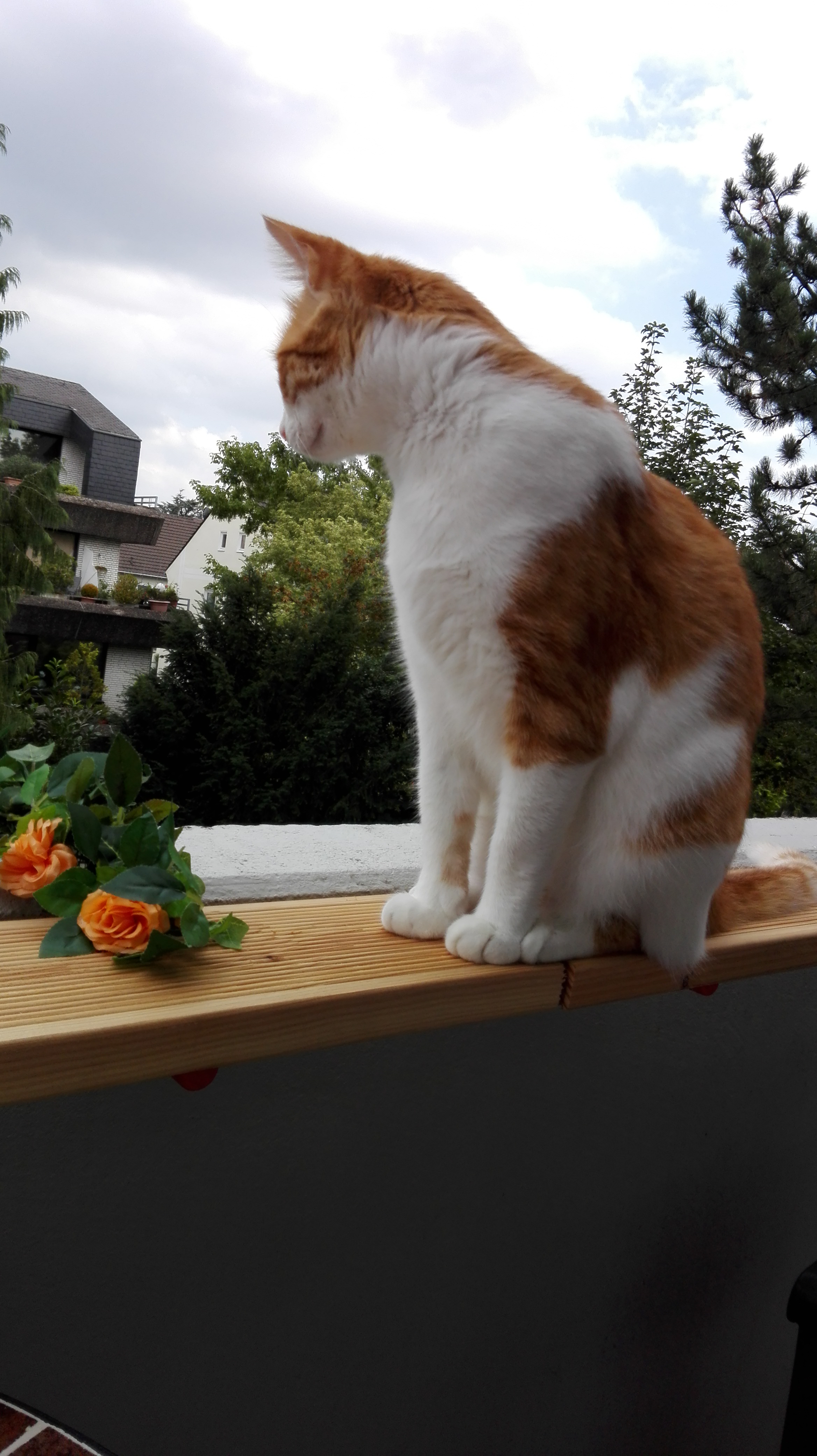 Theo auf dem Wachposten