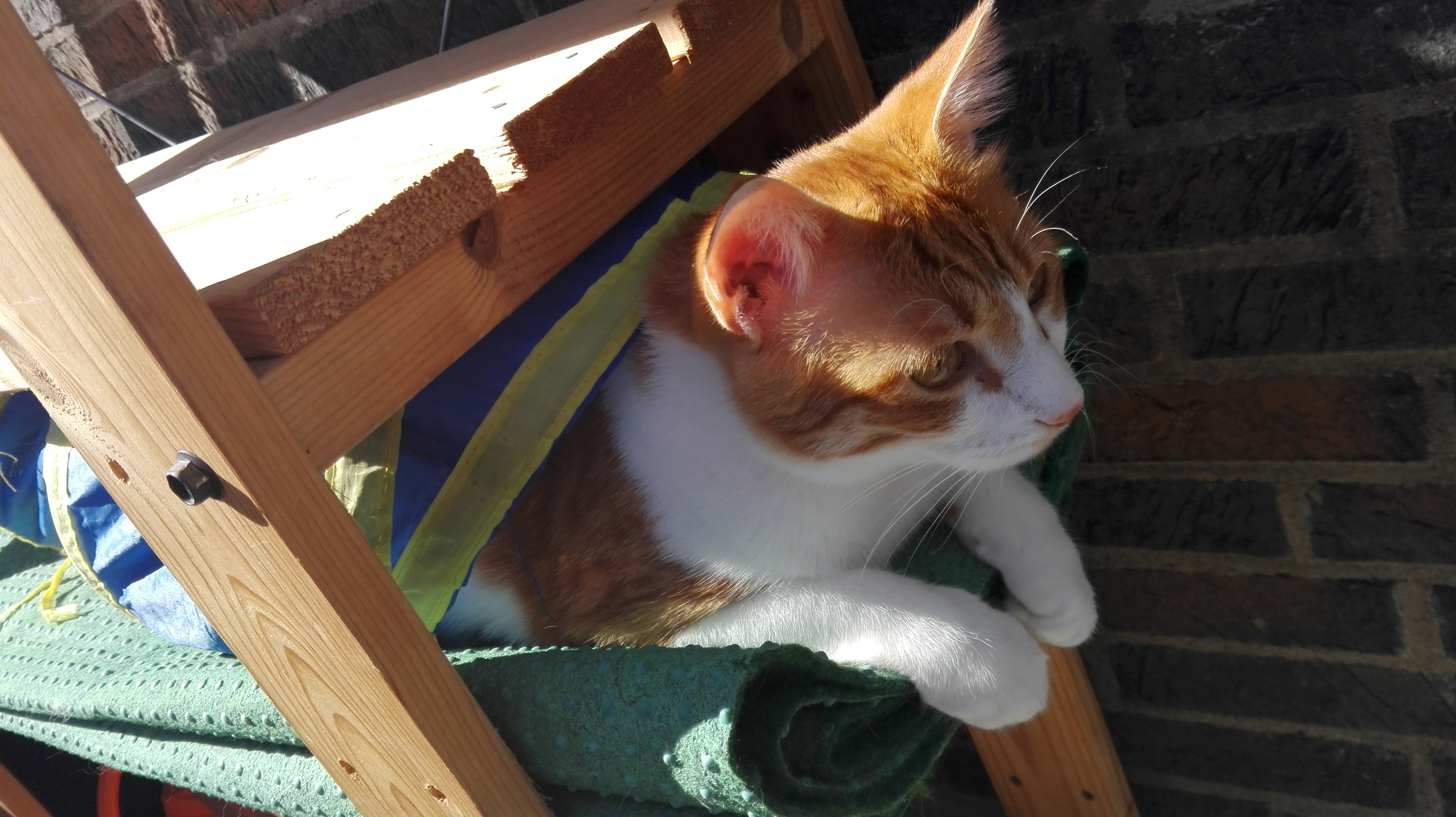 Theo im Rascheltunnel