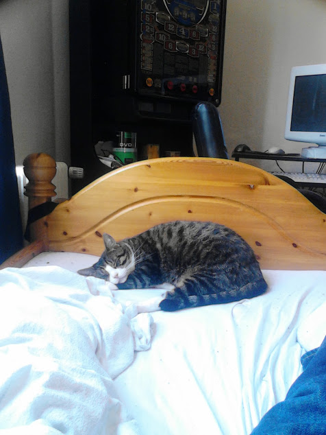 Tigger in Land der Träume