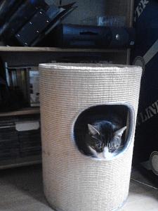 Tigger in seine Wichnacht gechenke von Wally