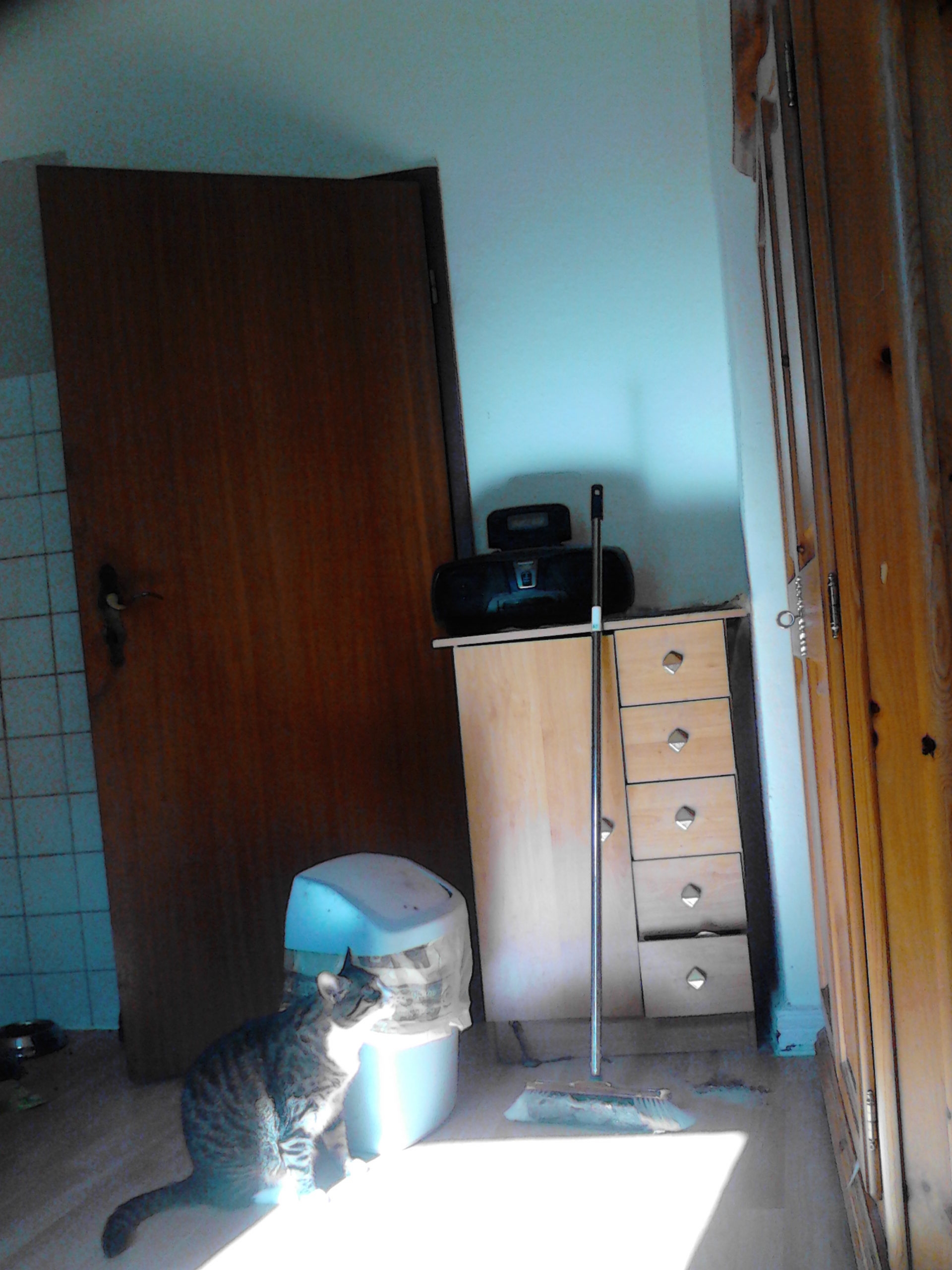 Tigger und das Sommenlicht