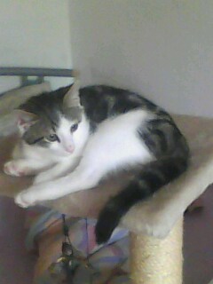 Timmy fast 4 Monate alt