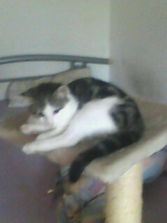 Timmy fast 4 Monate jung