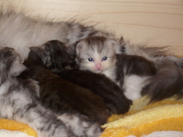 Toby
satt und müde