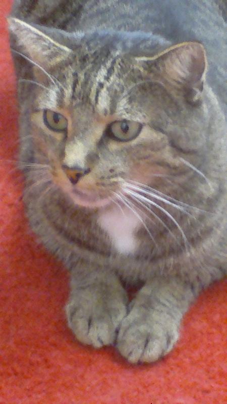 Tom ist meine kleine Seele, mein ein und alles.