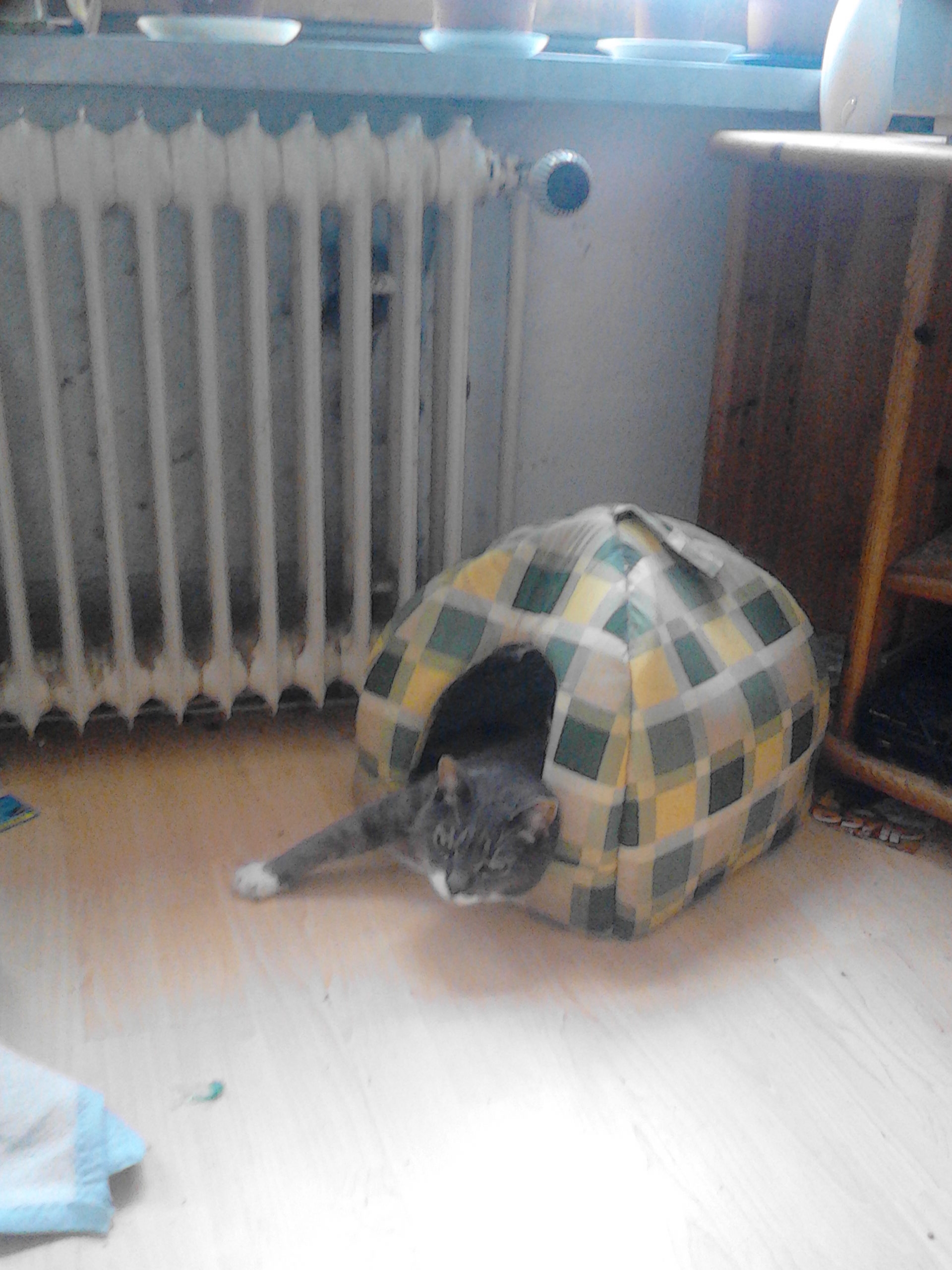 Trixi
Hier Wohne ich !!!!