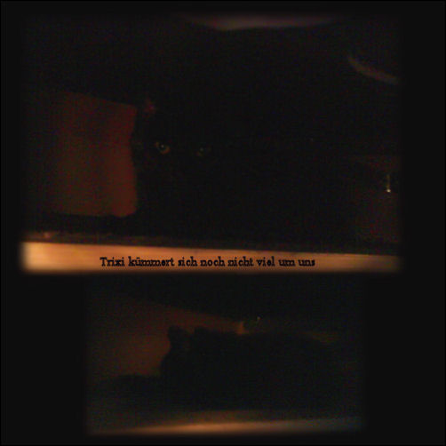 Trixi unter unserem Sofa, mal sehen wann sie etwas weiter auftaut :)