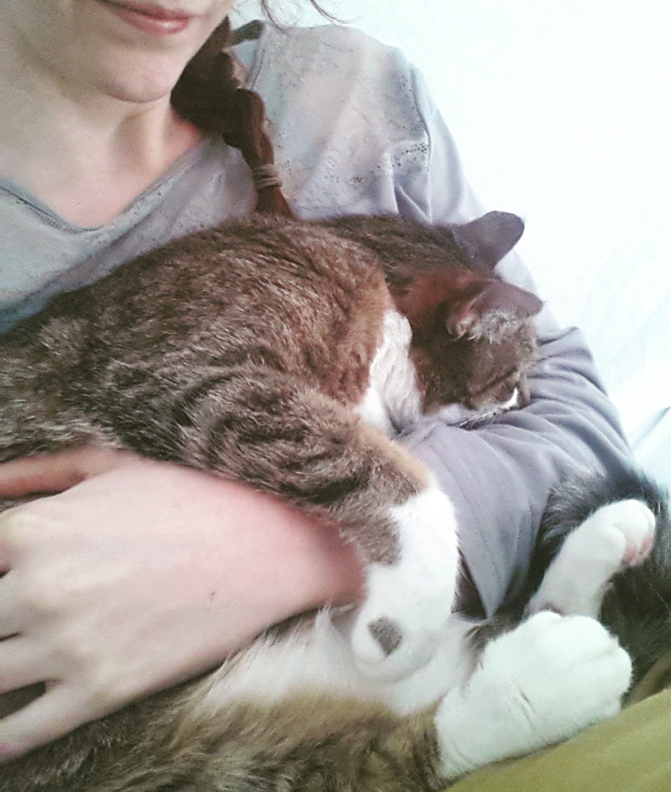 Uh..oh...Schlafattacke.