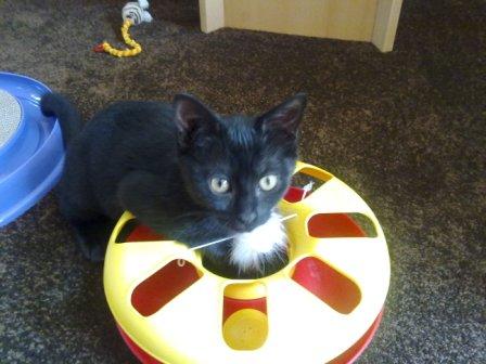 Uiii... das macht Spaß