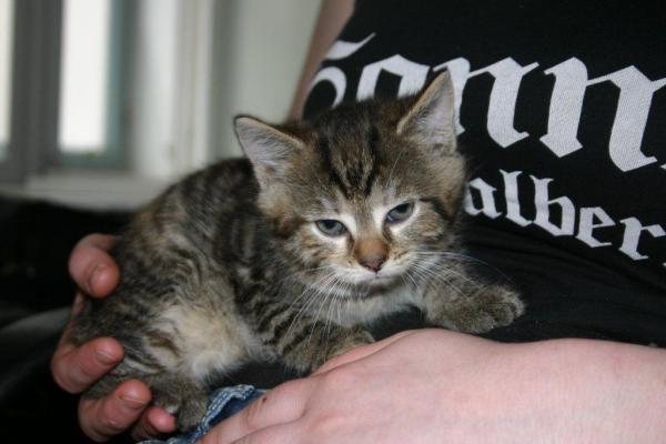 und Amelia mit etwa 6 Wochen