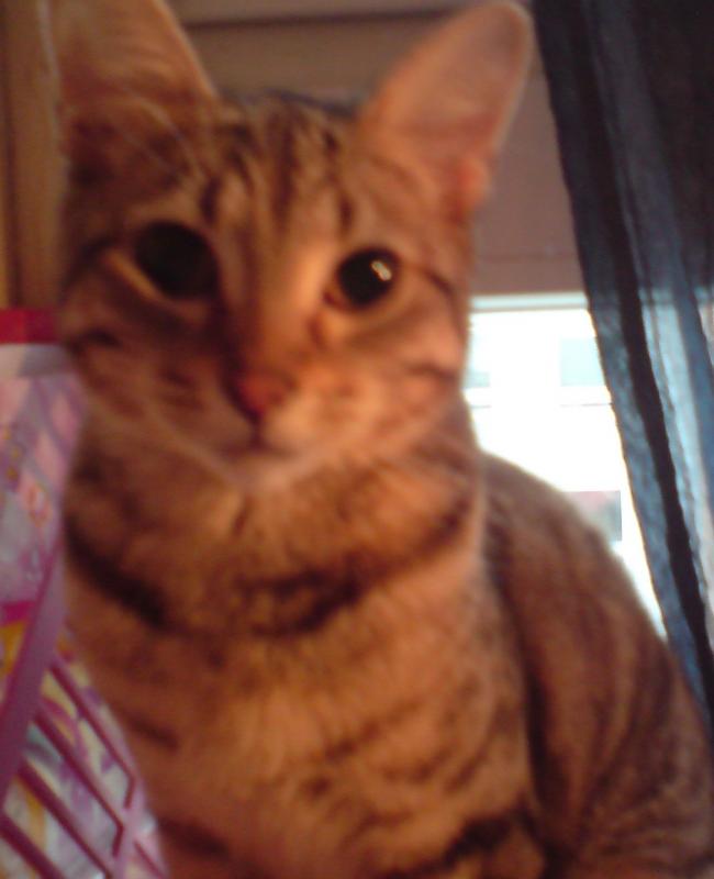 und das ist klein Lily