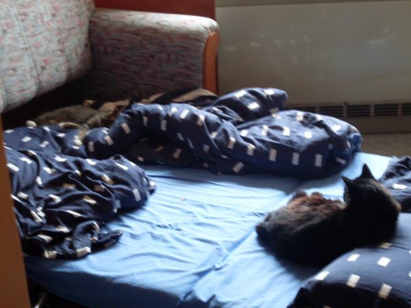 Und doch können sie nicht ohne einander