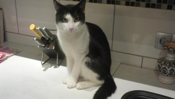 und mein Kater Catch ;)