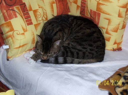 Und wieder schlafen.