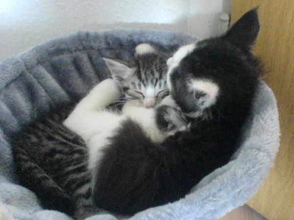 uns gibts nur im Doppelpack...