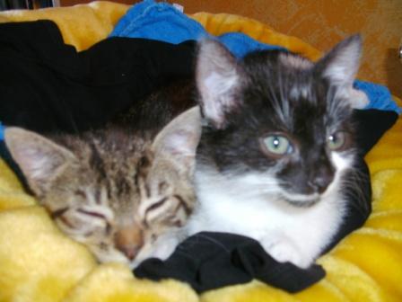 Unser erster Tag bei Mama