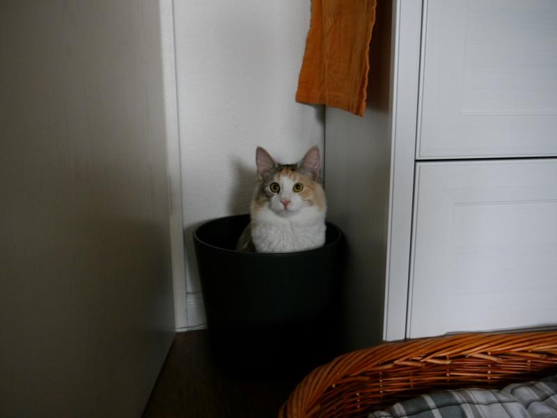 Unser liebes Mädchen.