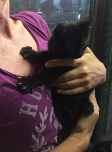 Unsere erste Begegnung im Tierheim....der Rasenmäher Baghira sprang an...