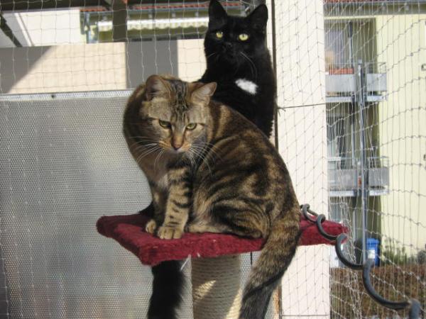 valentin geburtstag 008