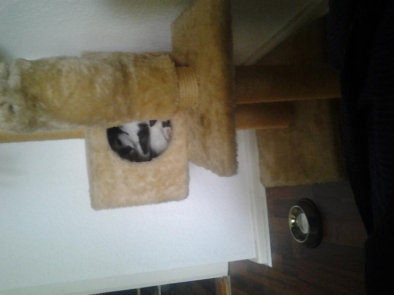 Verstecken spielen :D