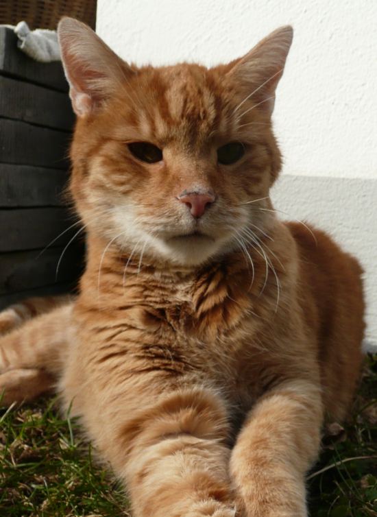 Vom ersten Moment hab ich mich in dieses Gesicht verliebt