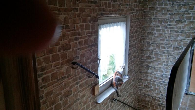 Von dem Fenster kann man schön die Kinder beobachten.