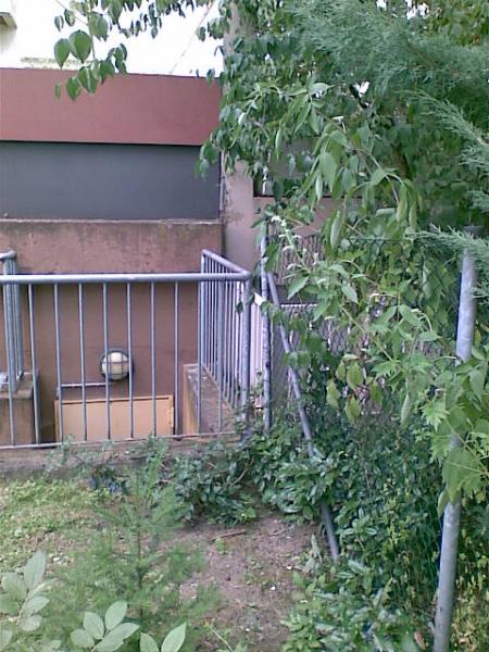 Voransicht des Platzes, wo evtl. eine Katzentreppe hinkönnte....