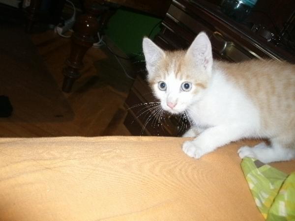 War er da noch "klein"