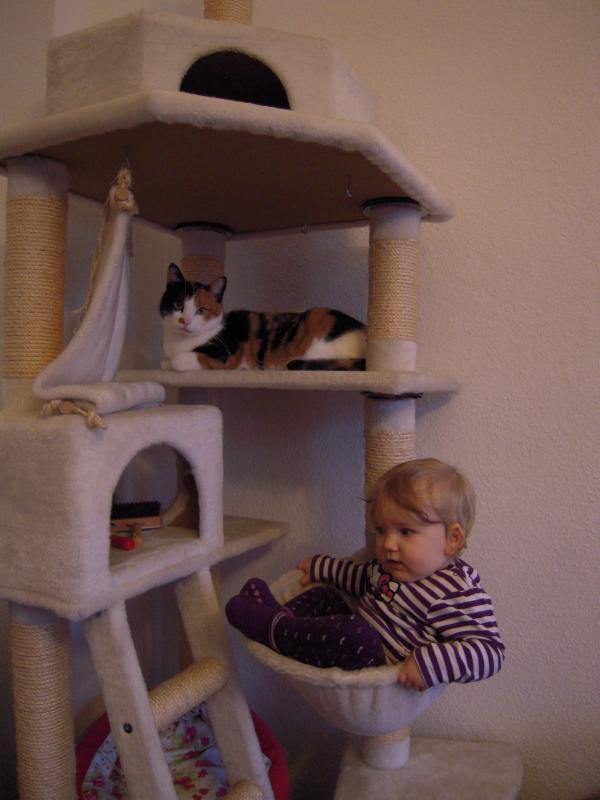 War nur kurz, aber Unfug muss auch mal sein. *gg*