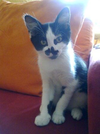 Was denn das für´n Knipsdingens da Dosi?