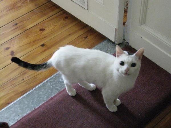 was fotografierst du denn dauernd so doof? ich will beschäftigung, keine bilder!