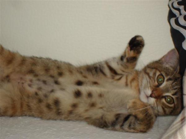 Was für ein süßer Bauch!