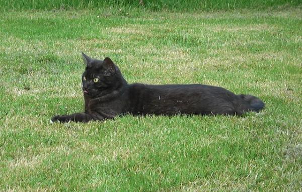 Was für eine süße Zunge...