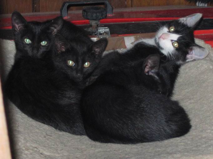 Was glotzt Du denn so? (2005)