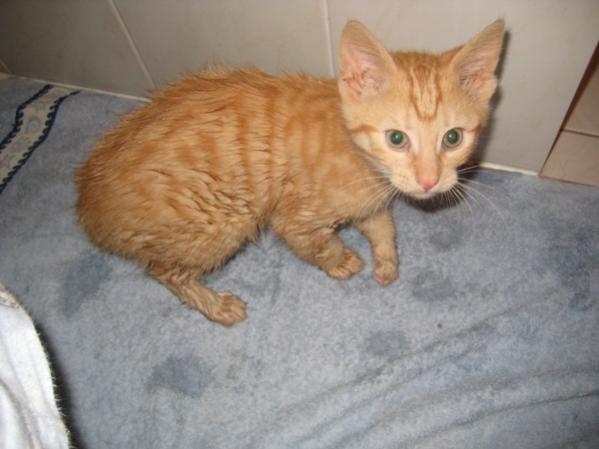 was guckst du???Ich war mit Papa baden...