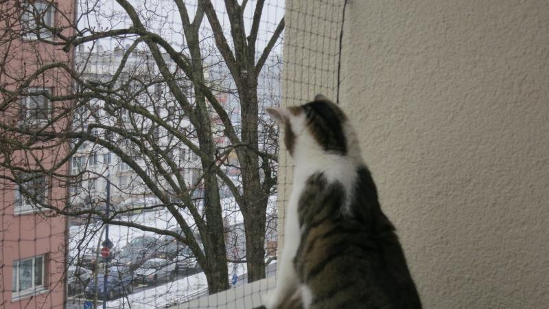 was ist da unten los