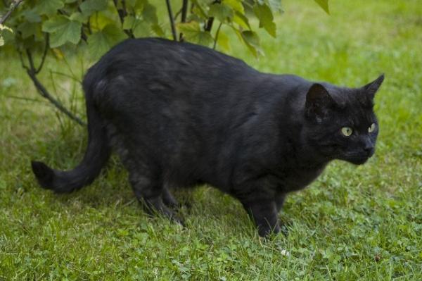 Was ist denn da so spannend?