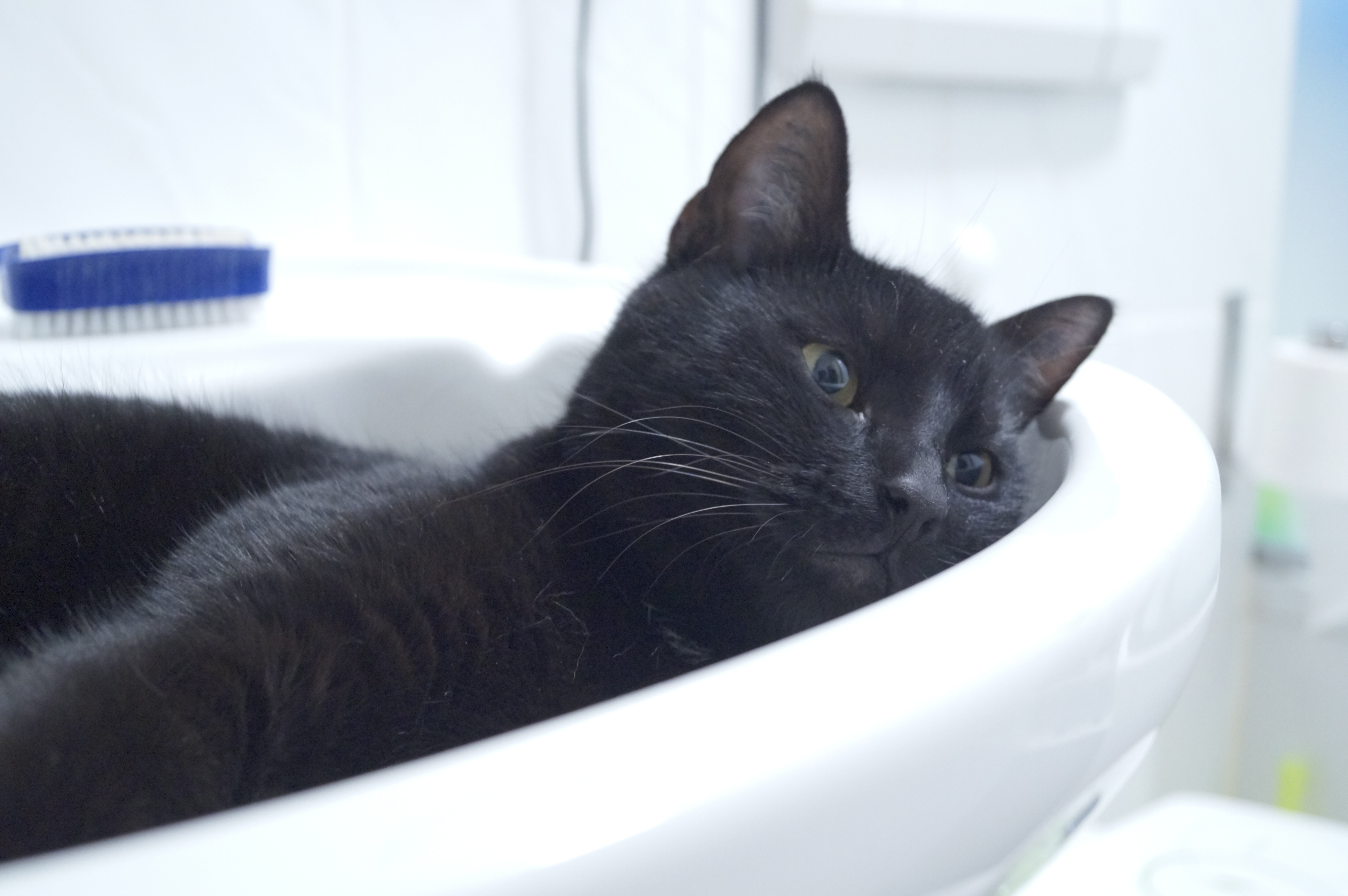 Was manche Leute so alles bequem finden...