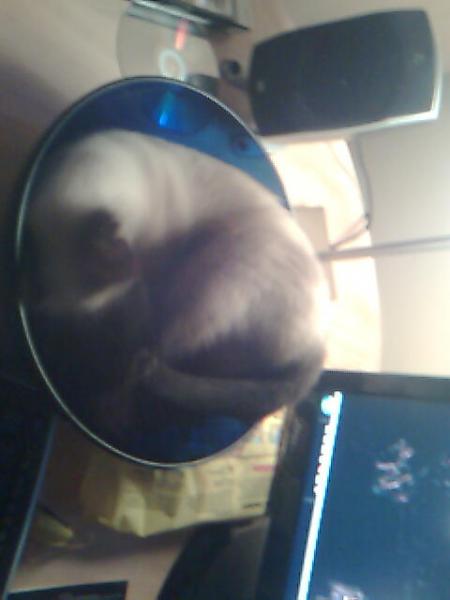 Was soll ich sagen: Diese Schüssel hat es einfach in Sich und vielleicht fallt ja meinem Herli ja was auf???